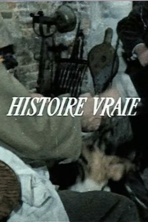 Постер Histoire vraie